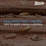 Foolproof Pest Control Tips to Keep Under Control