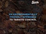 An Environmentally Friendly Approach To Termite Control