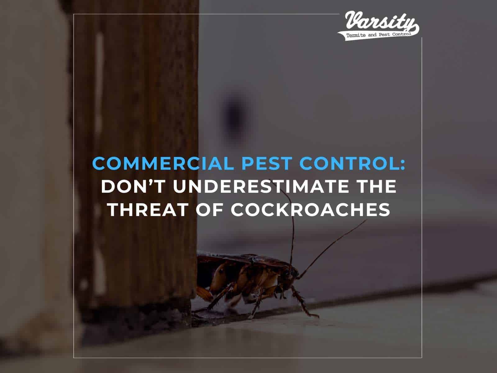 Commercial Pest Control: Don’t Underestimate The Threat Of Cockroaches