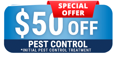 Special Offer 50 Dollars Off Pest Control