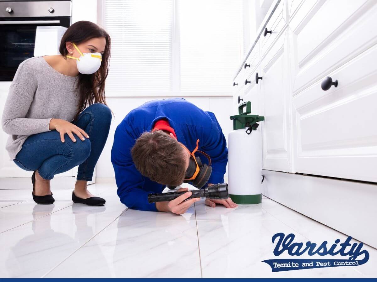 Cleaning Tips to Maintain a Pest-Free Home