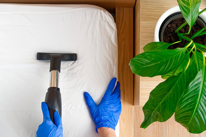 Best Treatment to Exterminate Bed Bugs in Mesa, AZ