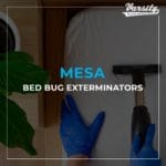 Mesa Bed Bug Exterminators at Varsity Termite and Pest Control: https://varsity.myfavoritewebdesigns.com/