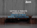 Getting a Termite Inspection Is Crucial In Real Estate Transactions