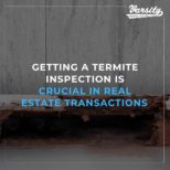 Getting a Termite Inspection Is Crucial In Real Estate Transactions