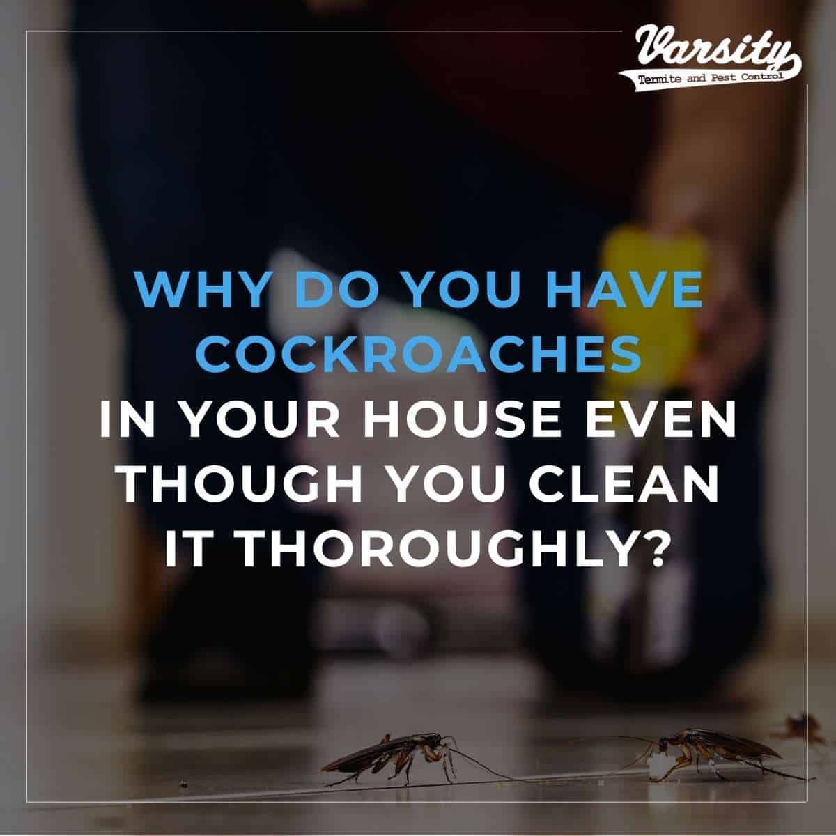 Getting rid of cockroaches in a house in Arizona