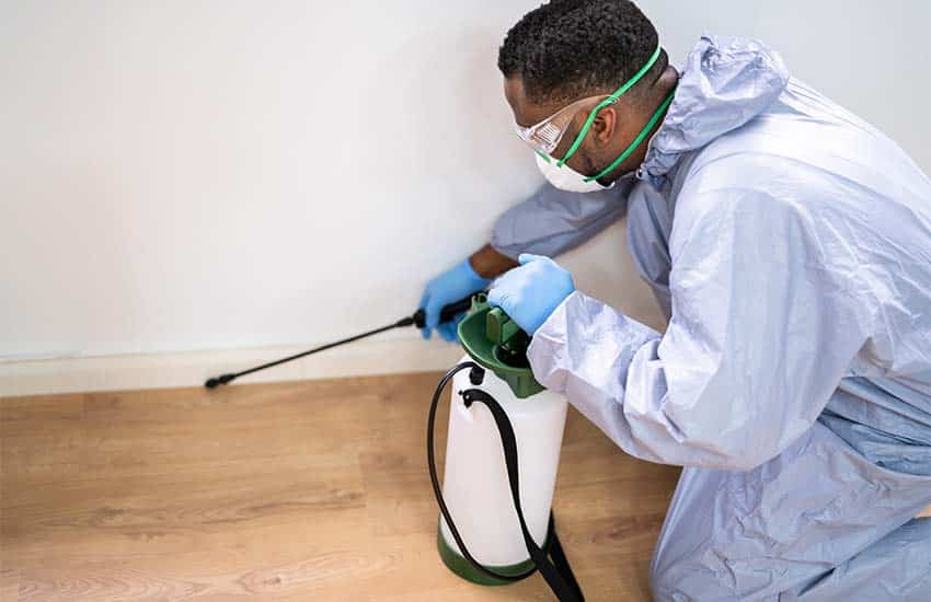 North Phoenix Pest Exterminator Applying Safe Pest Control Treatment