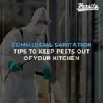 What Are Termite Swarmers & How They Could Affect Your Home In Arizona