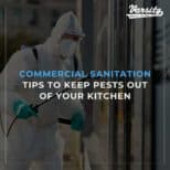 What Are Termite Swarmers & How They Could Affect Your Home In Arizona