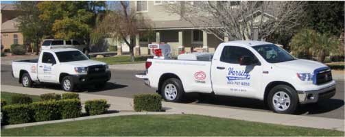 Providing Effective Rodent Prevention Methods In Tempe, AZ