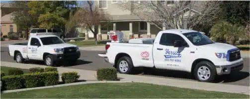 Licensed, Bonded & Insured Scorpion Exterminators