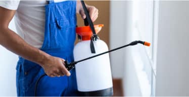 Exterminator Spraying Scorpion Repellent On A Property's Windows