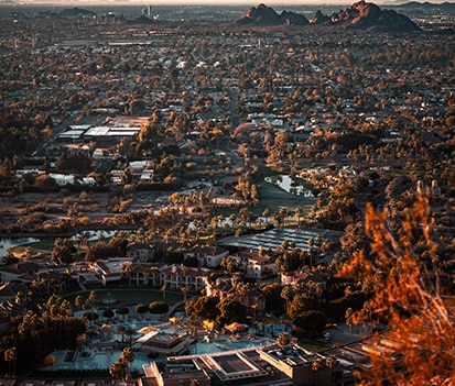 Scorpion Control In Biltmore, Phoenix