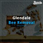 Glendale Bee Removal At https://varsity.myfavoritewebdesigns.com/