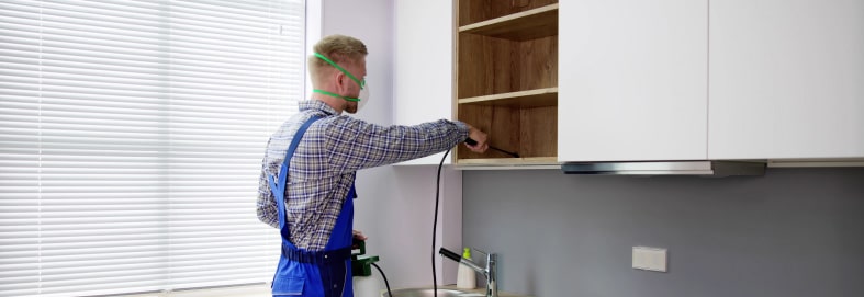 Termite Treatment In A Kitchen Counters