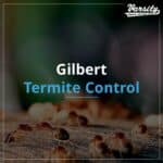 Gilbert Termite Control At https://varsity.myfavoritewebdesigns.com/