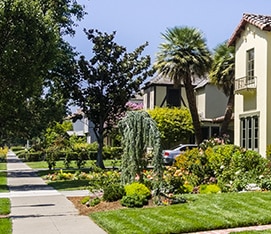 Get Rid Of Termites In Holdeman And Tempe Gardens Neighborhoods