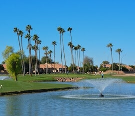 Termite Exterminators Providing Services In Cobblestone Farms, Maricopa