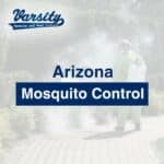 Arizona Mosquito Control at Varsity Termite and Pest Control: https://varsity.myfavoritewebdesigns.com/