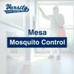 Mesa Mosquito Control: https://varsity.myfavoritewebdesigns.com/