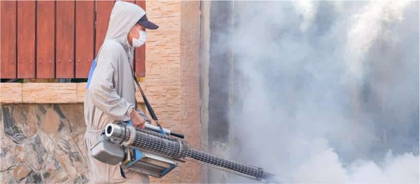 Mosquito Pest Control Expert Using Thermal Fogging in Mesa, AZ