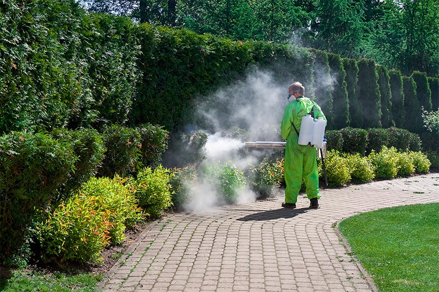 Effective Mosquito Fogging for Yards in Arizona