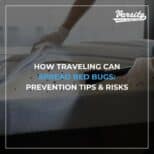 How Traveling Can Spread Bed Bugs: Prevention Tips & Risks