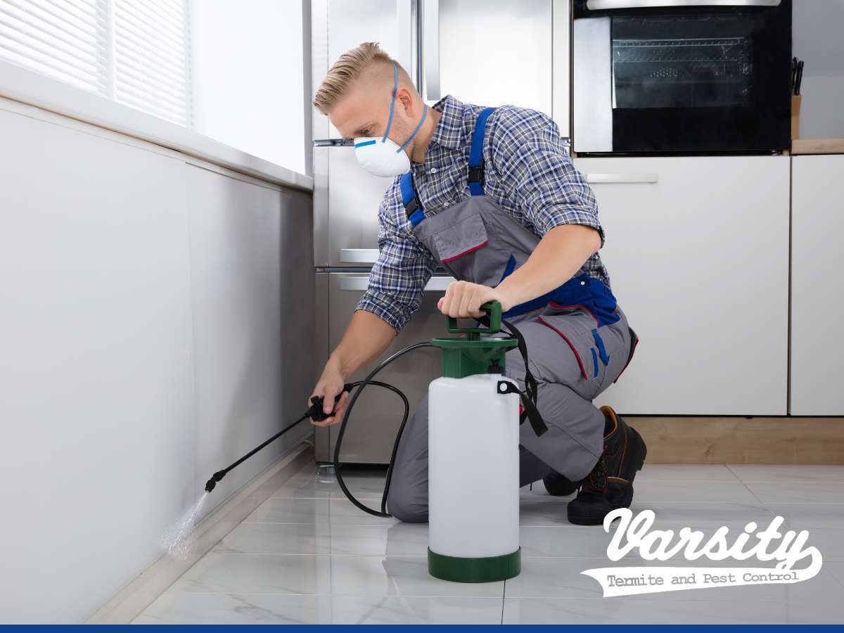 Technician performing Eco-Friendly Pest Control in a home kitchen